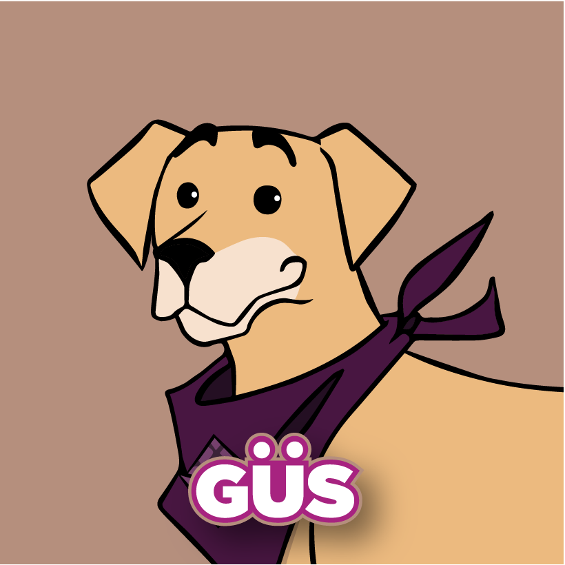 Güs image